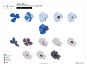 アルテニュー Craft-A-Flower: Anemone Blue Poppy Layering